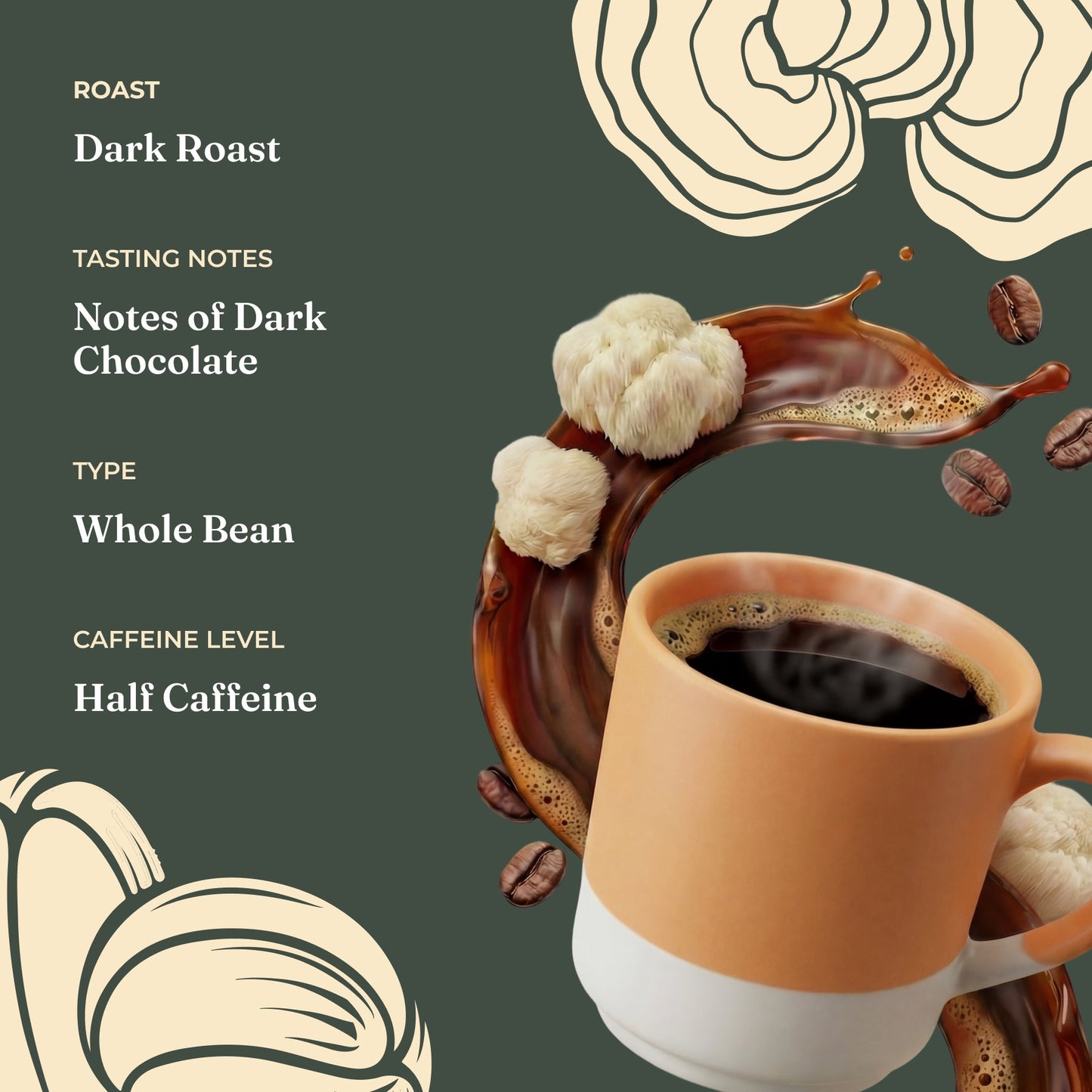 focus-half-caf-whole-bean-coffee-n0 Taste_-_Focus_Half_Caf_Whole_Bean_d1d02c35-db99-498e-ac43-813730db6953.jpg