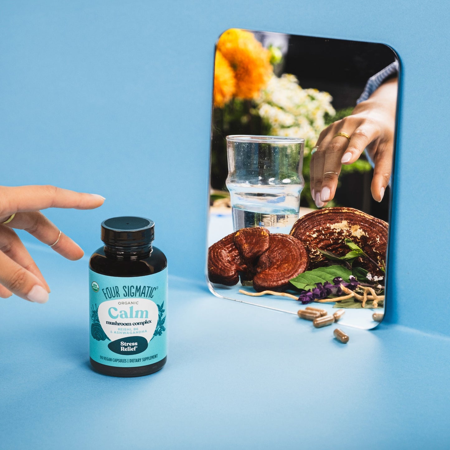 calm-capsules-r8 calm-capsule-1.jpg